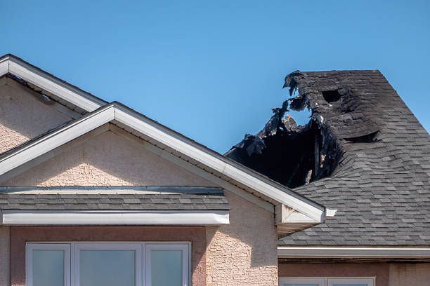 Top rated local Board Up Services specialists in Cave Creek, AZ